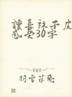 读长袜子皮皮的感受30字