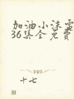 加油小沫电视剧36集全免费播放封面