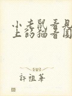 小老鼠看见电脑上的猫看图写话