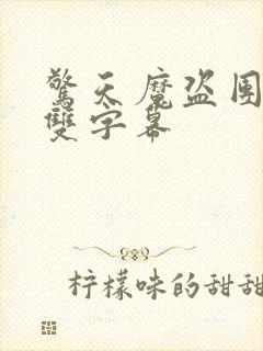 惊天魔盗团中英双字幕