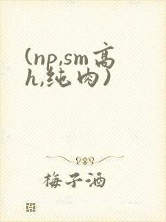 (np,sm高h,纯肉)封面