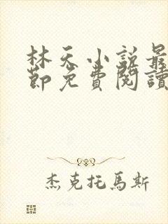 林天小说最新章节免费阅读全文