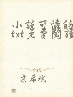 小说可怜的晓絮txt免费阅读封面