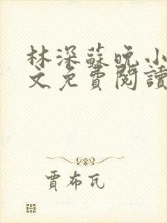 林深苏晚小说全文免费阅读