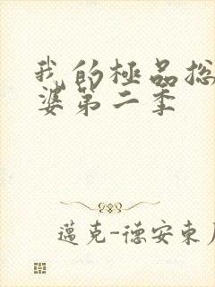 我的极品总裁老婆第二季