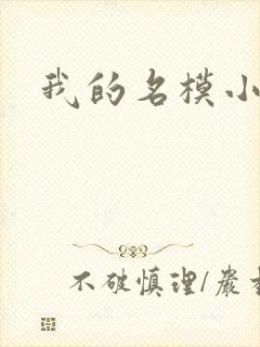 我的名模小娇妻封面