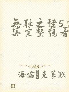 无耻之徒5季全集完整观看