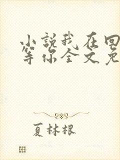 小说我在回忆里等你全文免费阅读