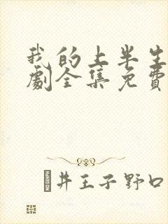 我的上半生电视剧全集免费观看封面