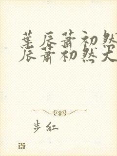 叶辰萧初然 叶辰萧初然大结局封面