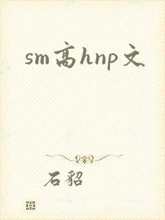sm高hnp文