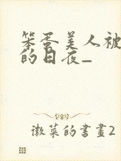 笨蛋美人被疼爱的日夜_