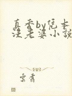 真香by凭本事没老婆小说免费阅读