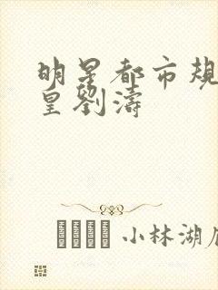 明星都市规则之皇刘涛