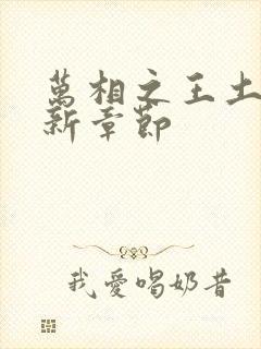 万相之王土豆最新章节