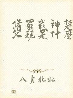 修罗武神楚枫的父亲是什么修为