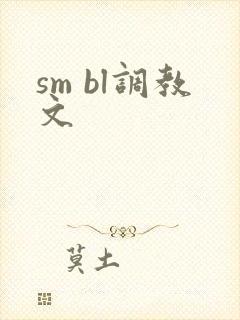 sm bl调教文