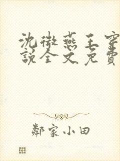 沈微燕王穿越小说全文免费阅读