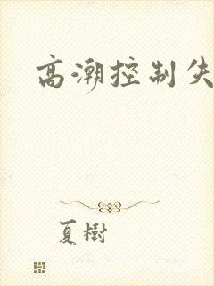 高潮控制失禁h
