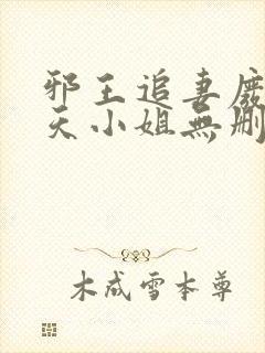 邪王追妻废材逆天小姐无删减