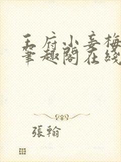 王府小妾梅素素笔趣阁在线阅读