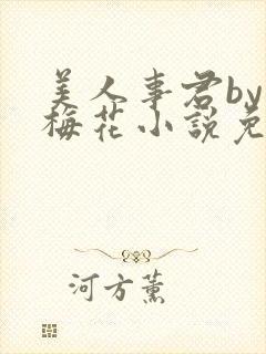 美人事君by小梅花小说免费阅读