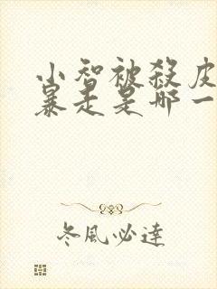 小智被杀皮卡丘暴走是哪一部封面