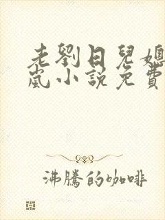 老刘日儿媳妇张岚小说免费阅读