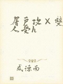 屠户攻×双性美人受h