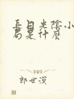 长日光阴小说结局是什么