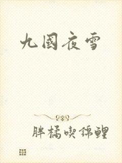 九国夜雪封面