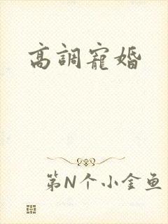 高调宠婚