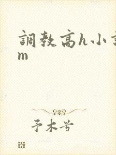 调教高h小说sm