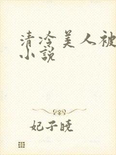 清冷美人被爆操小说
