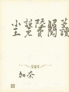 小说陆昭菱与晋王免费阅读