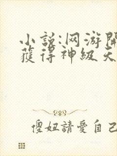 小说:网游开局获得神级天赋封面