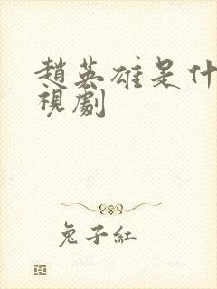 赵英雄是什么电视剧封面