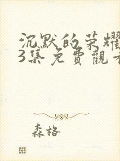 沉默的荣耀第13集免费观看