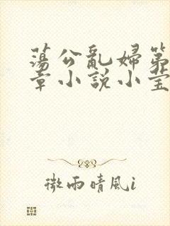 荡公乱妇第51章小说小莹