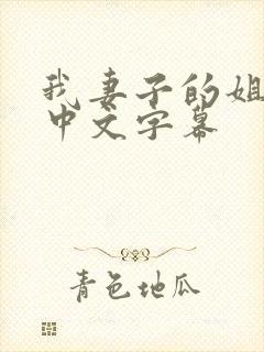 我妻子的姐姐3中文字幕