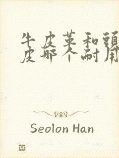 牛皮革和头层牛皮哪个耐用