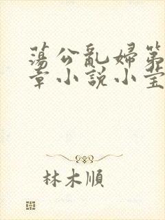 荡公乱妇第51章小说小莹封面