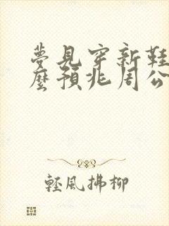 梦见穿新鞋是什么预兆周公解梦封面