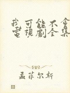 我可能不会爱你电视剧全集