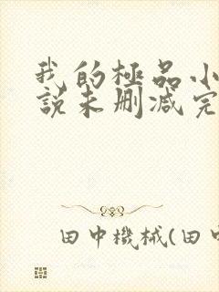 我的极品小姨小说未删减完整版