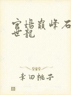 官场巅峰石昊卞世龙