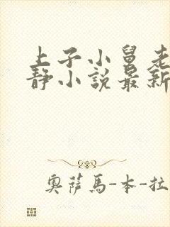 上子小舅老婆赵静小说最新章节