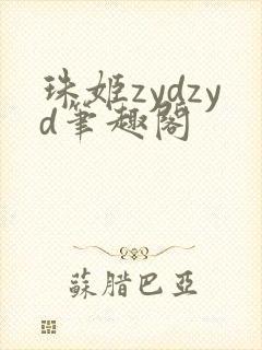 珠姬zydzyd笔趣阁封面