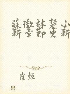 苏彻林楚小说最新章节更新内容