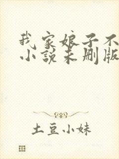 我家娘子不对劲小说未删版完整